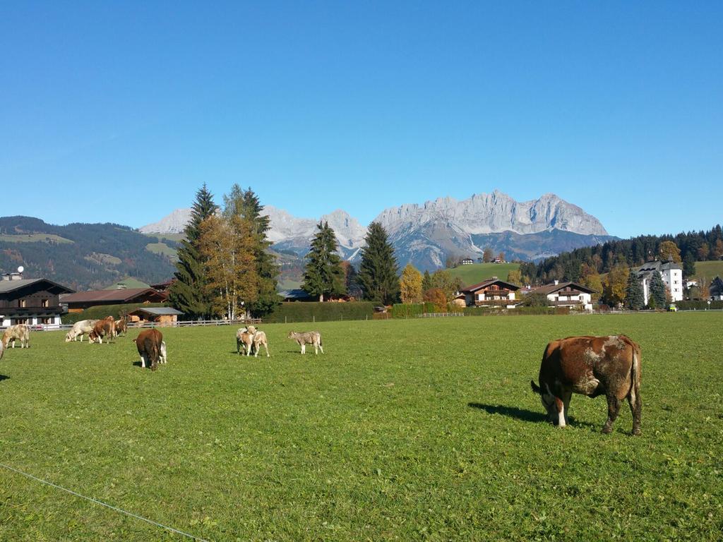 Haus Aschenwald Villa Kitzbuhel Bagian luar foto